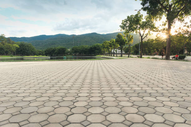 Best Driveway Paving Contractor  in Long View, NC